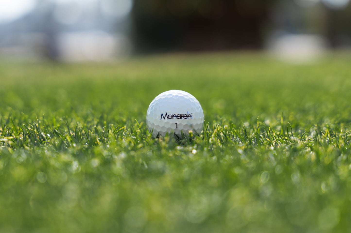 Monarchi Competitor Model Golf Balls